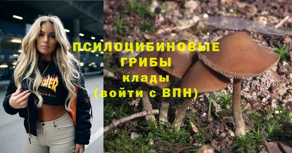 а пвп мука Верея