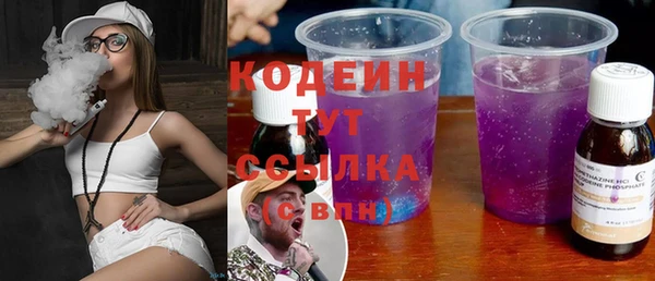 стаф Дрезна