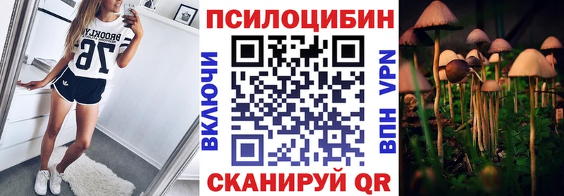 Галлюциногенные грибы мицелий  где купить   Сунжа 